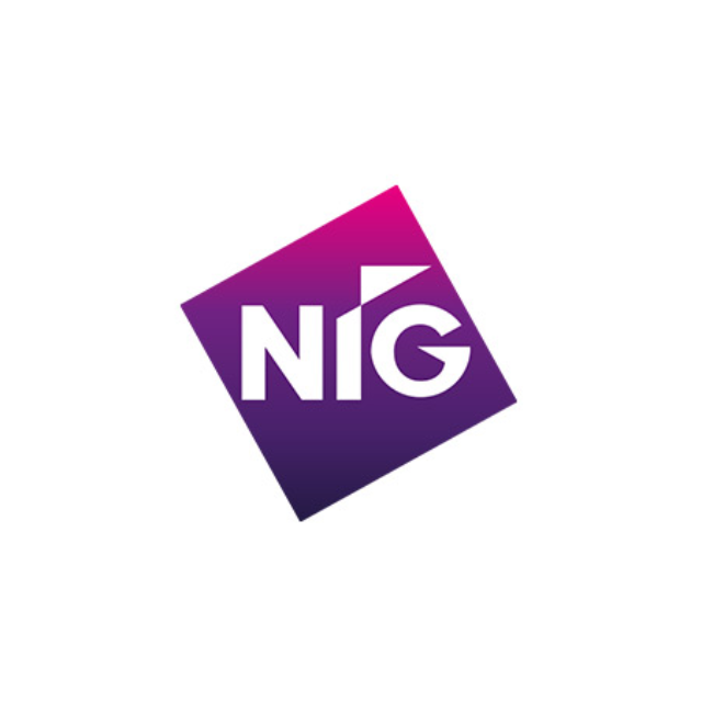 NIG logo